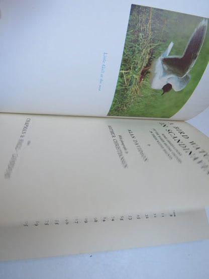 A Bird Watcher In Scandinavia Some Observations Of The Rarer British Visitors In Their Native Haunts book image 4