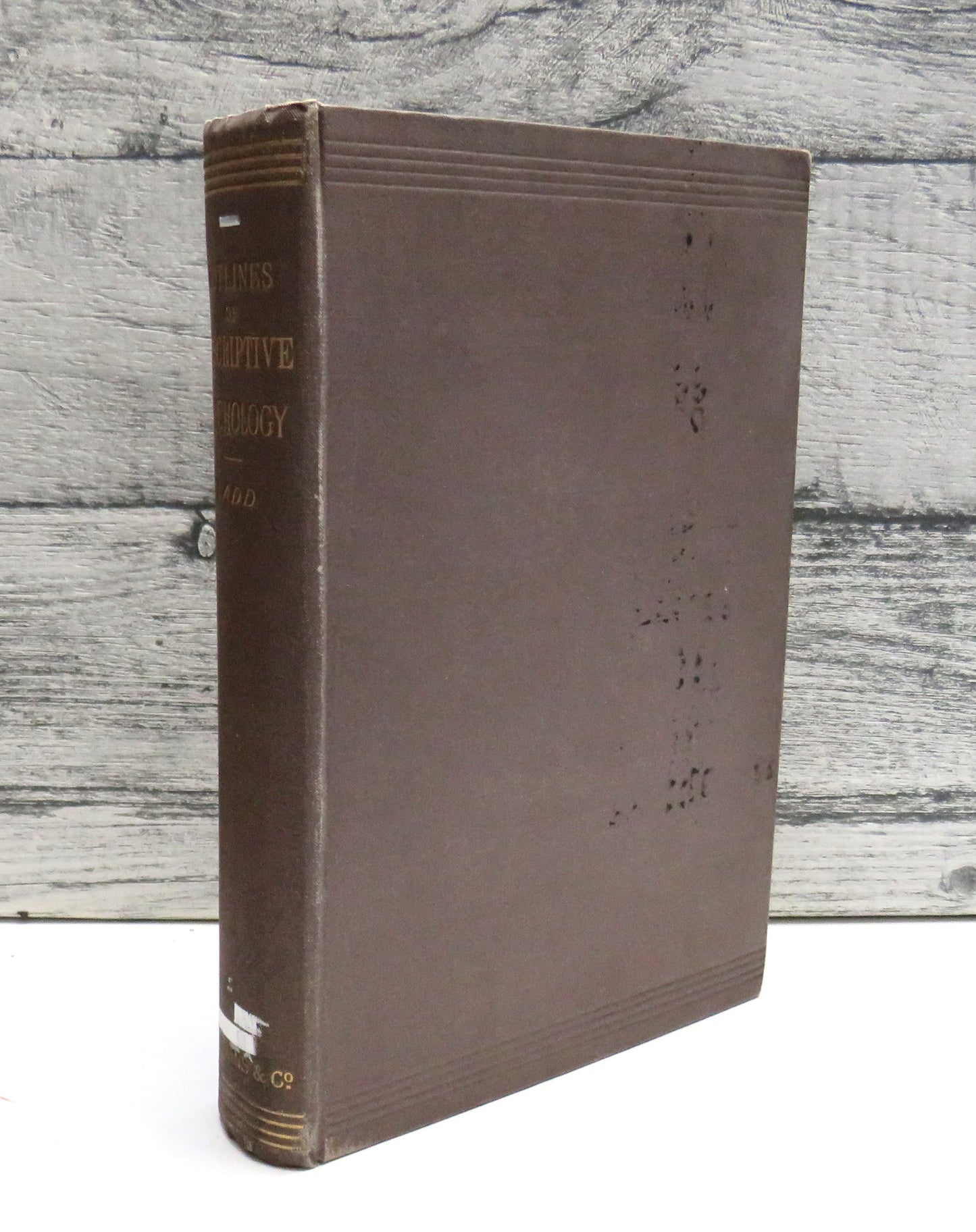 Outlines of Descriptive Psychology, A Text-book of Mental Science for Colleges and Normal Schools by George Trumbull Ladd, 1898