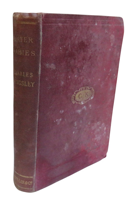 The Water-Babies A Fairy Tale For A Land-Baby By Charles Kingsley 1889 book front cover