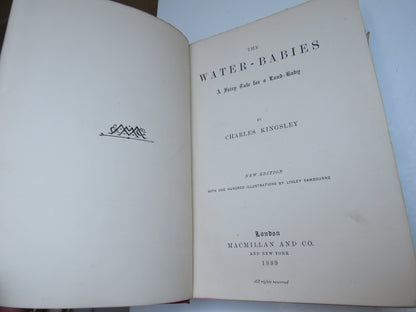 The Water-Babies A Fairy Tale For A Land-Baby By Charles Kingsley 1889 book image 3