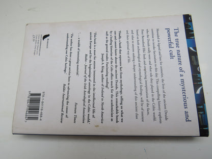 A Brief History of The Druids by Peter Berresford Ellis, 2002 book image 2