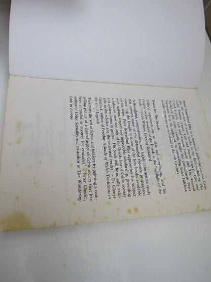A Brief History of The Druids by Peter Berresford Ellis, 2002 book image 3