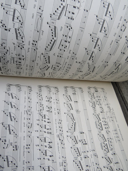 Songs From The Published Writings of Alfred Tennyson Poet Laureate Set To Music By Various Composers book image 7