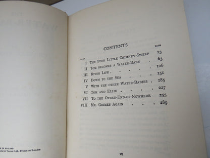 The Water-Babies By Charles Kingsley With 48 Plates book image 5