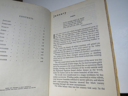 Good Country Days By R.W.How 1946 1st Edition book image 5