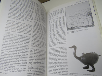 Dictionary of Celtic Myth and Legend by Miranda J. Green, 1992 book image 6