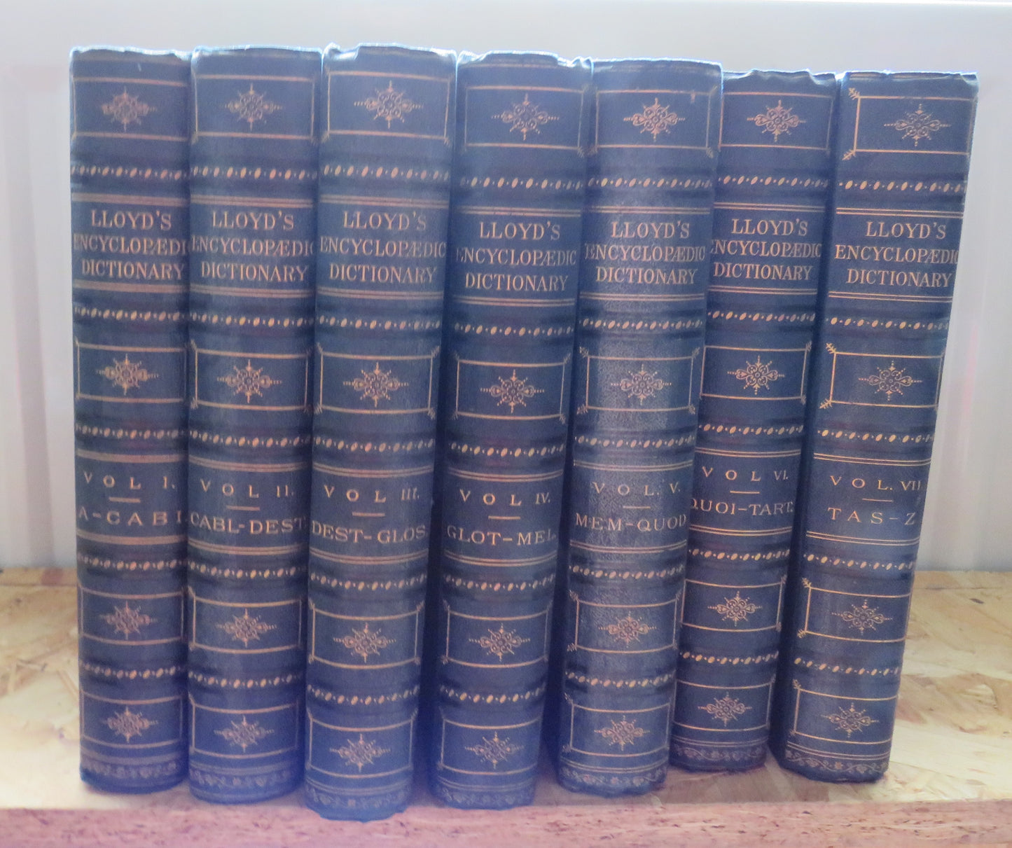 Lloyd's Encyclopaedic Dictionary Volumes 1 - 7 1895