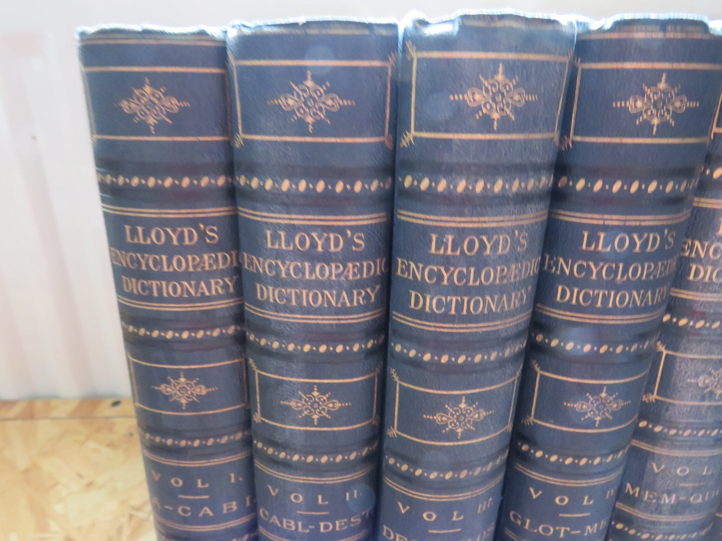 Lloyd's Encyclopaedic Dictionary Volumes 1 - 7 1895