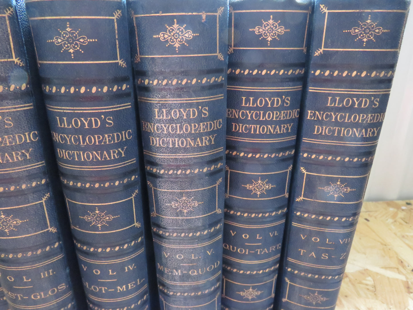 Lloyd's Encyclopaedic Dictionary Volumes 1 - 7 1895