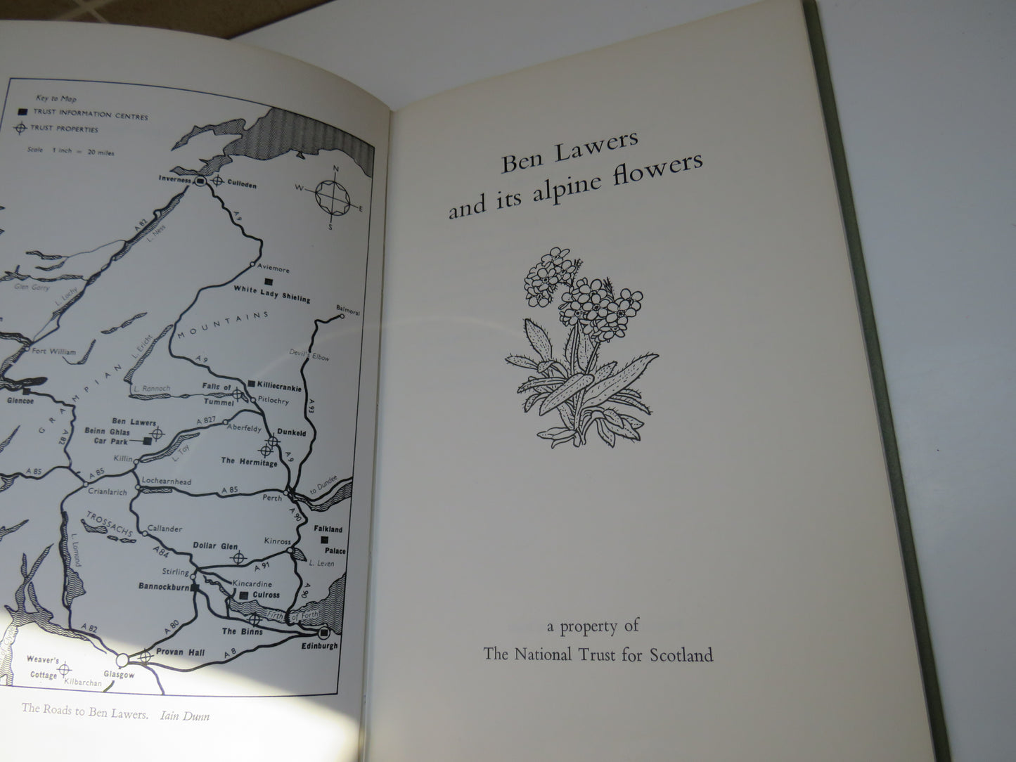 Ben Lawers and Its Alpine Flowers 1964