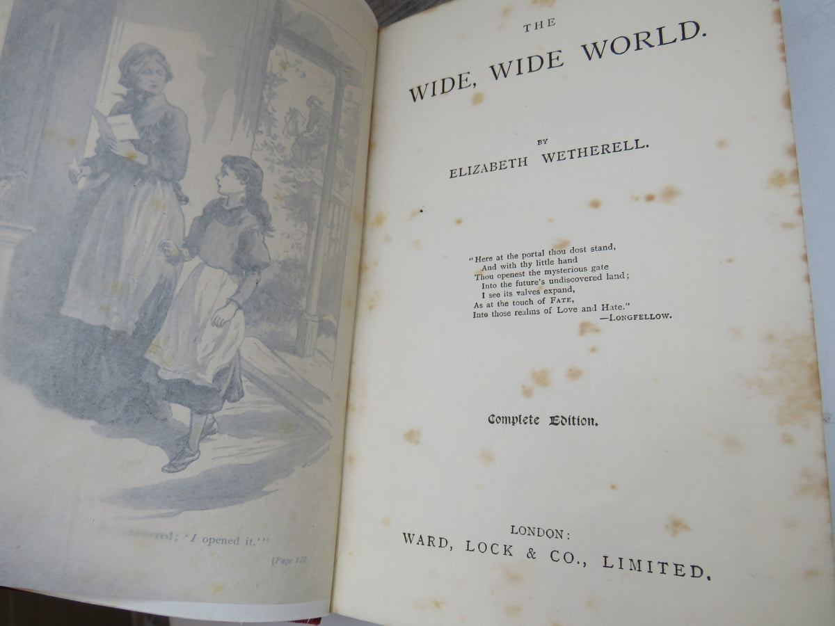The Wide, Wide World By Elizabeth Wetherell
