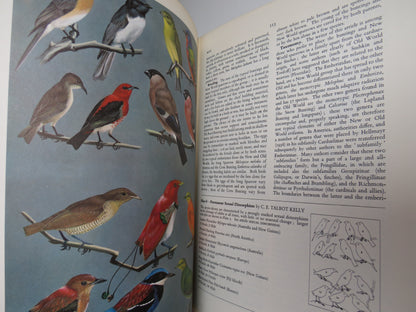 A New Dictionary of Birds, Sir A. Landsborough Thomson, 1965 book image 7