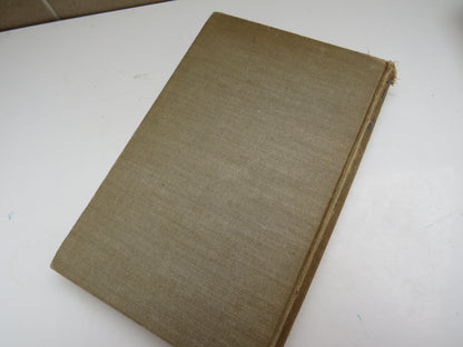 Arctic Lights by Desmond Holdridge, Illustrated by Edward Shenton book image 3