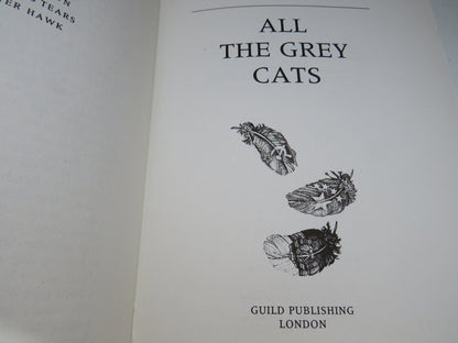 All The Grey Cats By Craig Thomas 1988 book image 4