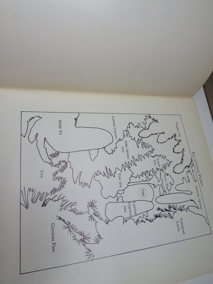 Know Your Conifers by Herbert L. Edlin, Forestry Commission Booklet No. 15, 1971 book image 3