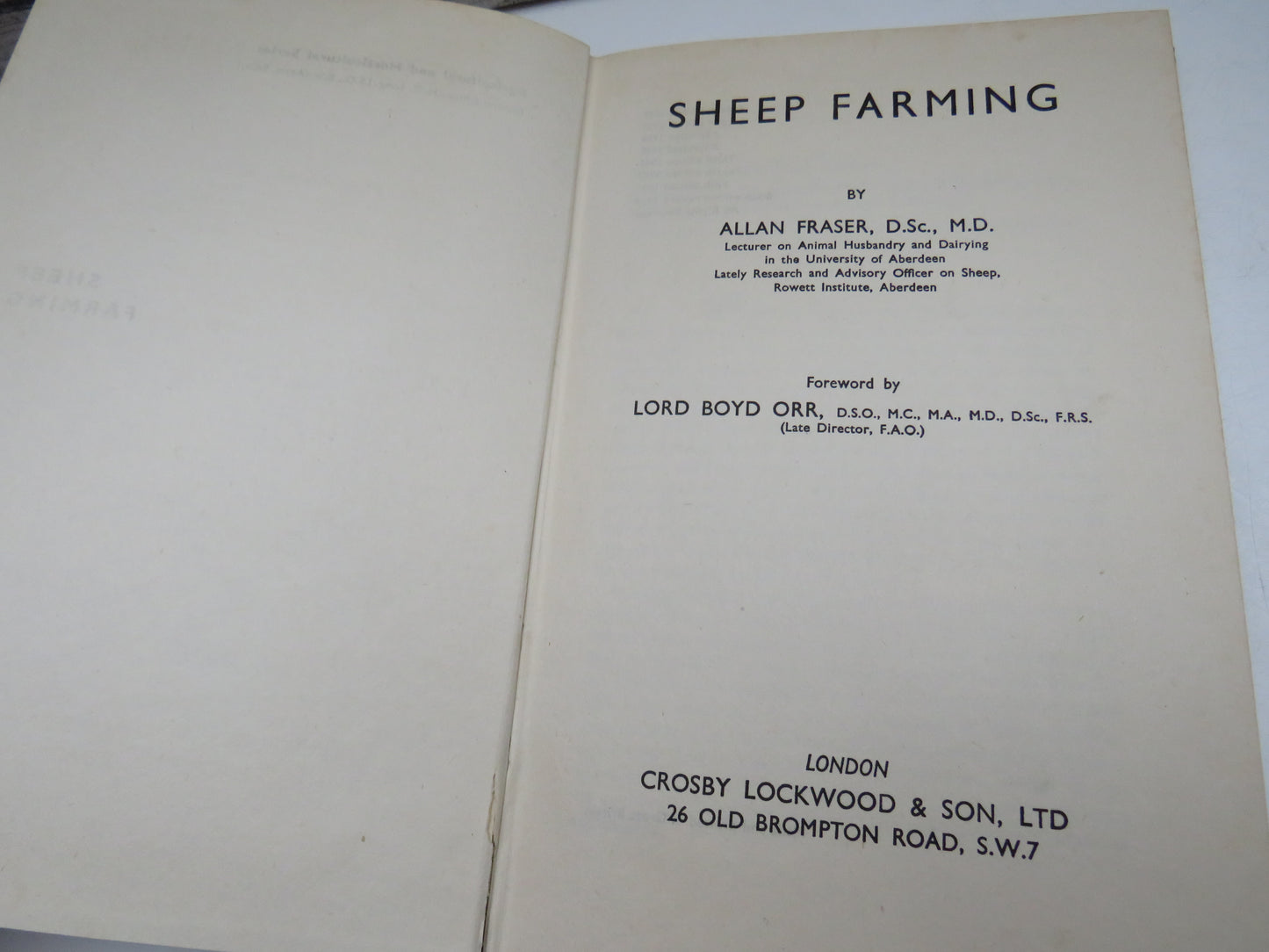 Sheep Farming By Allan Fraser 1954