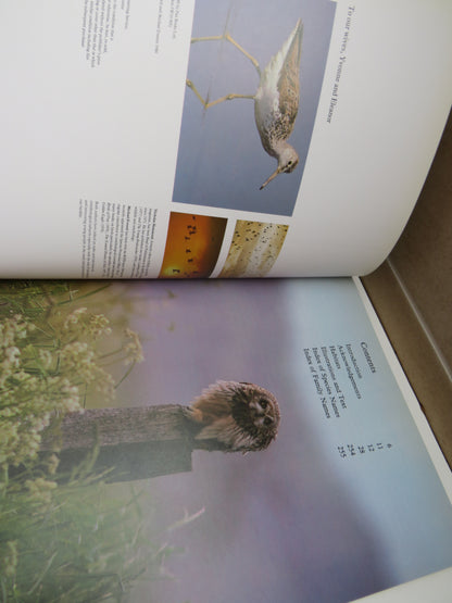 Birds of Britain and Europe by Nicholas Hammond & Michael Everett, 1980 book image 4