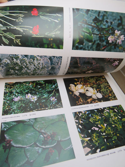 Wild Flowers of British Columbia by Lewis J. Clark, 1973 book image 7