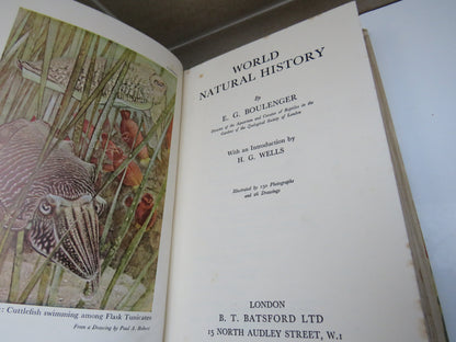 World Natural History by E. G. Boulenger, 1937 book image 5