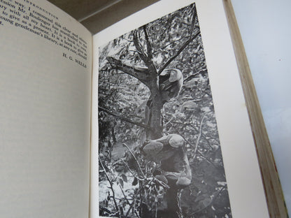 World Natural History by E. G. Boulenger, 1937 book image 6