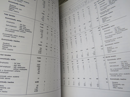 1991 Census Report For Grampian Region Parts 1 & 2 book image 7