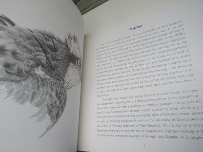 Ospreys By Roy Dennis 1991 book image 5