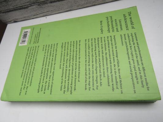 The World of Adolescence Literature, Society and Psychoanalytic Psychotherapy By Beta Copley 1993