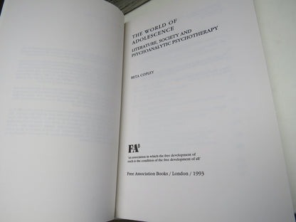 The World of Adolescence Literature, Society and Psychoanalytic Psychotherapy By Beta Copley 1993 book image 3