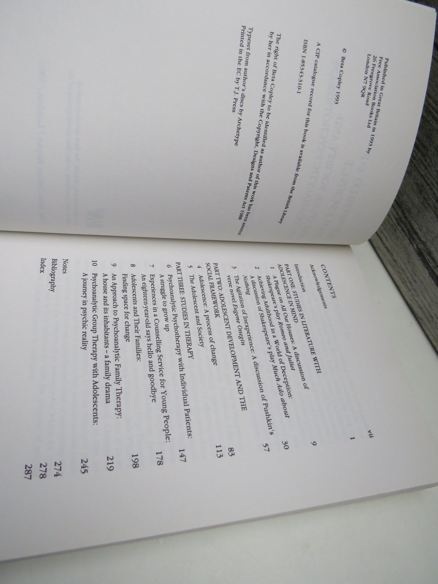 The World of Adolescence Literature, Society and Psychoanalytic Psychotherapy By Beta Copley 1993