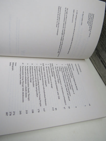 The World of Adolescence Literature, Society and Psychoanalytic Psychotherapy By Beta Copley 1993 book image 4
