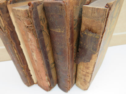 The Poetical Works of Geoffrey Chaucer Vol I, II, V, VI, IX, X, XI, XII 18thC book image 4