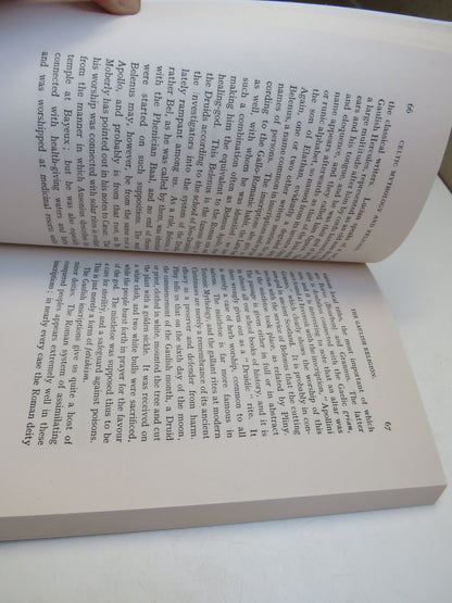 Celtic Mythology and Religion by A. MacBain, The Lost Library book image 5