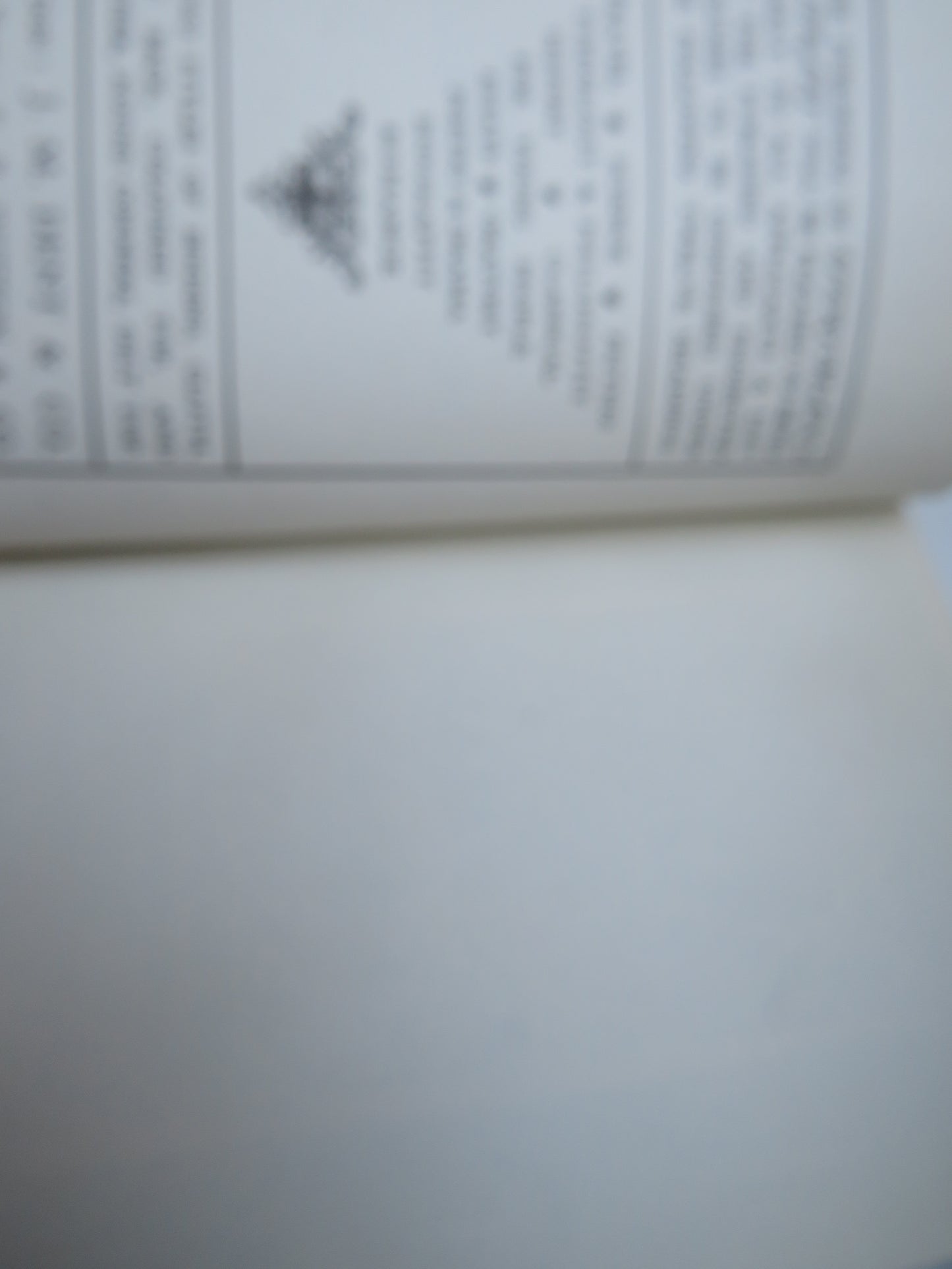 The Stones of Venice By John Ruskin Volume I, II, III