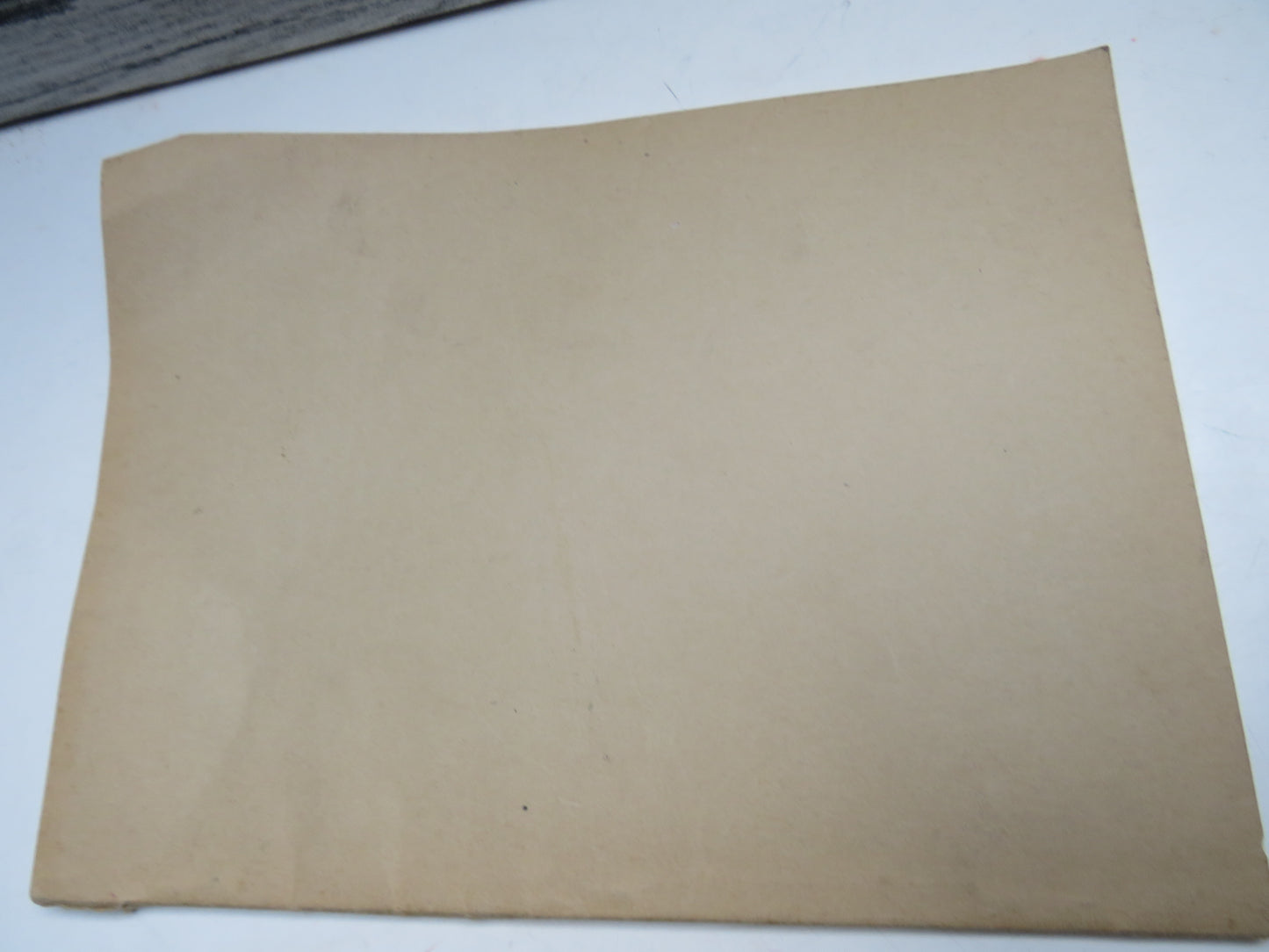 The Animal Art of the Scottish Iron Age and Its Origins By Charles Thomas 1963