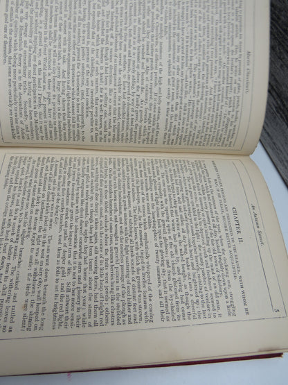 The Life and Adventures Of Martin Chuzzlewit By Charles Dickens