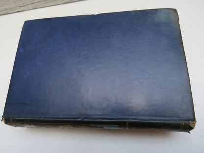 The Captain's Chum By Ross Harvey 1911 book image 3