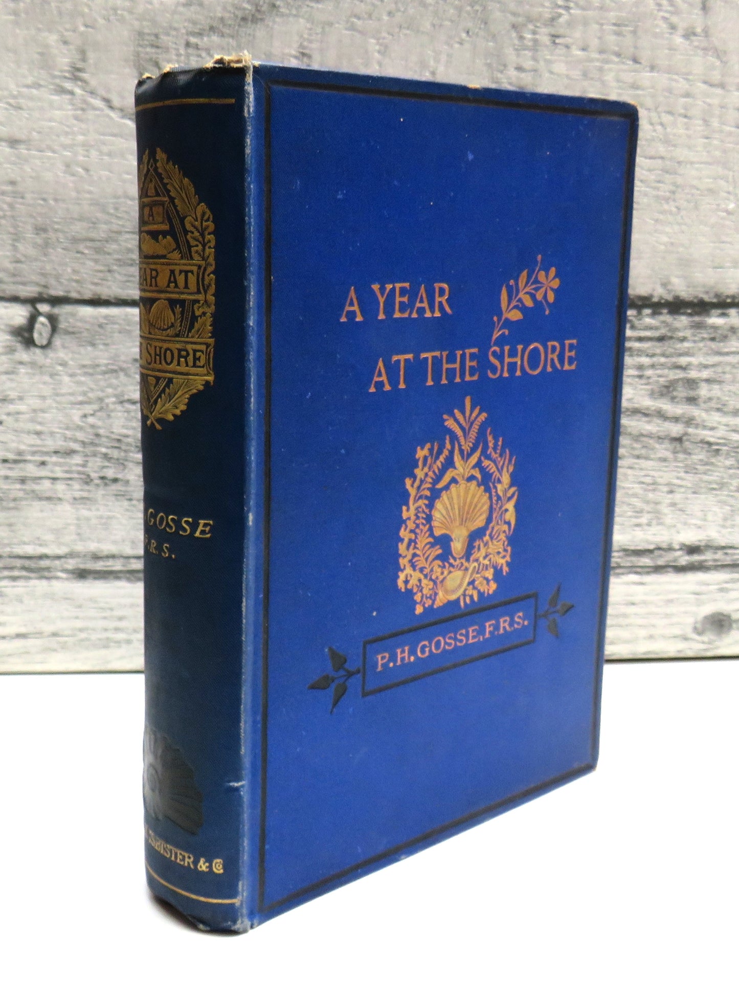 A Year At The Shore By Philip Henry Gosse 1877