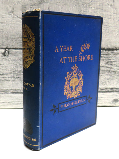 A Year At The Shore By Philip Henry Gosse 1877 book front cover