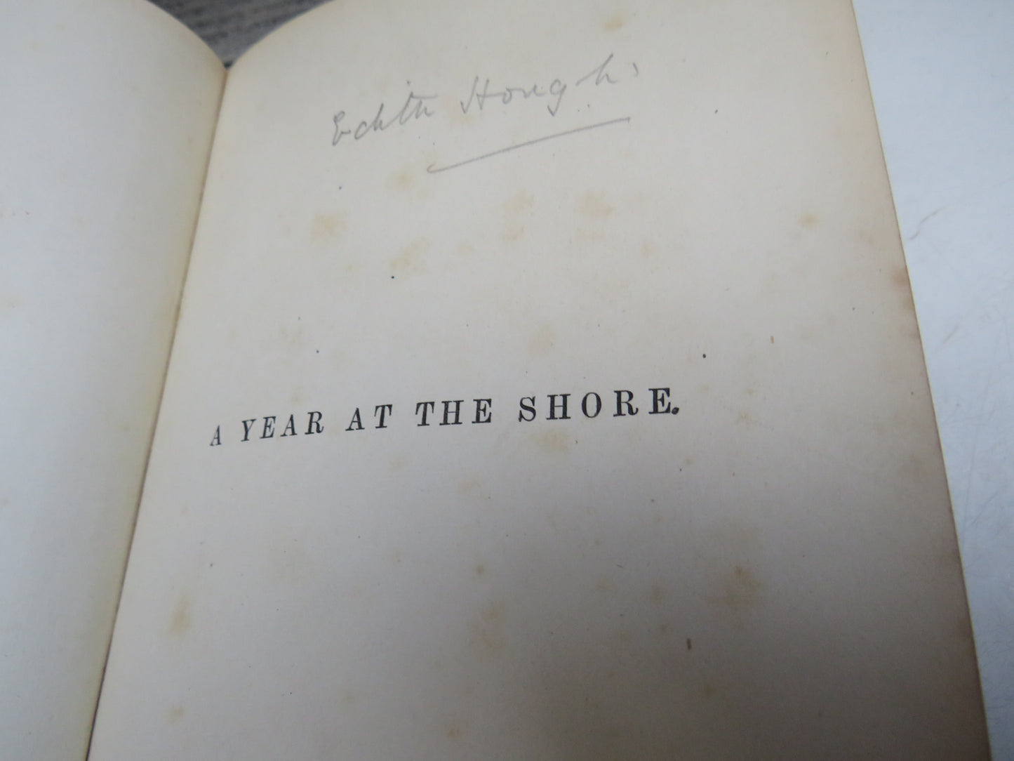 A Year At The Shore By Philip Henry Gosse 1877