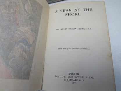 A Year At The Shore By Philip Henry Gosse 1877 book image 5