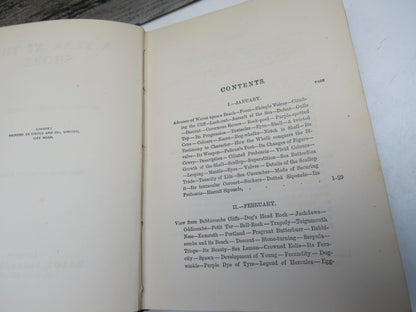 A Year At The Shore By Philip Henry Gosse 1877 book image 6