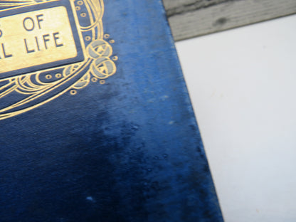 Scenes of Clerical Life By George Eliot Illustrated By Chris Hammond 1904 book image 2