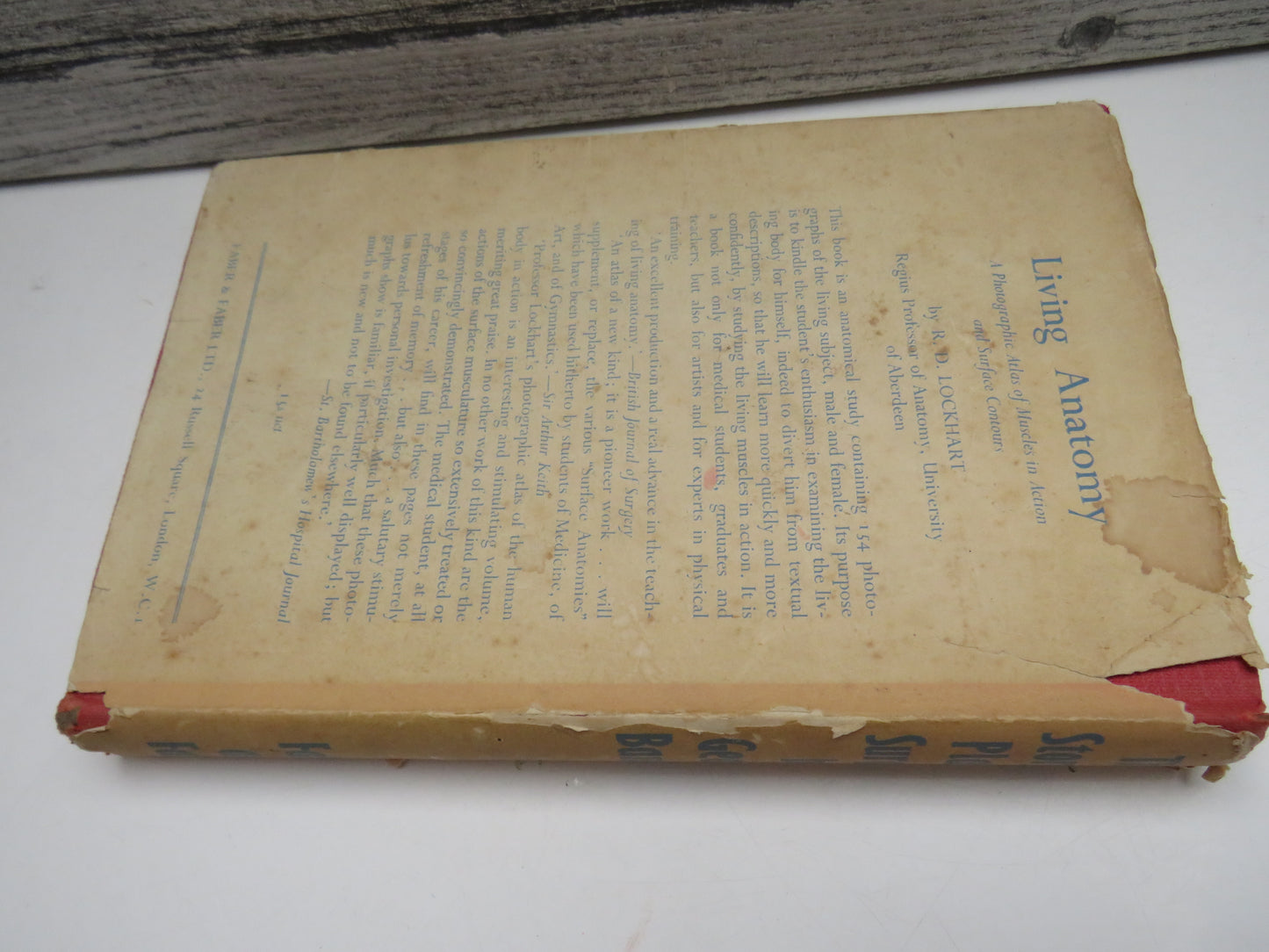 The Story of Plastic Surgery By George Bankoff 1952