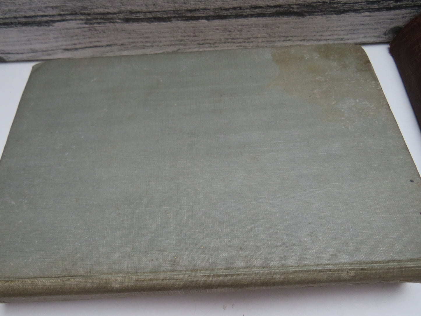 Days and Nights of Shikar By Mrs. W. W. Baillie With A Frontispiece By The Author 1921