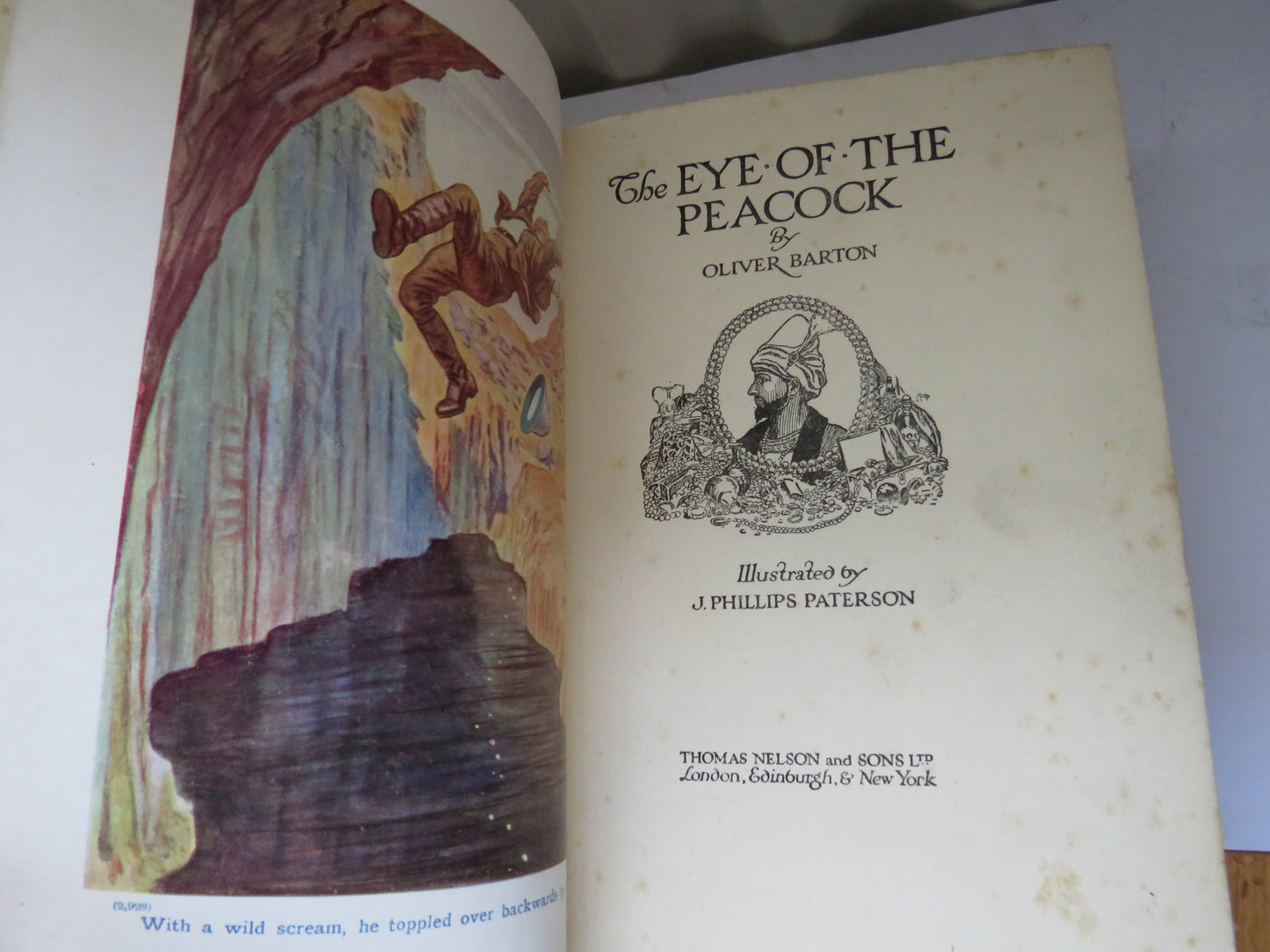 The Eye of The Peacock By Oliver Barton