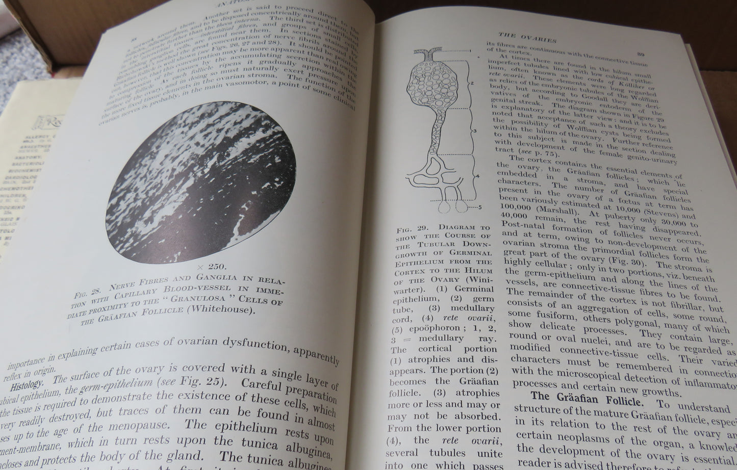 Eden and Lockyer's Gynaecology For Students And Practitioners, 1935