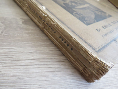 The Assommoir A Realistic Novel By Emile Zola 1885 book image 4
