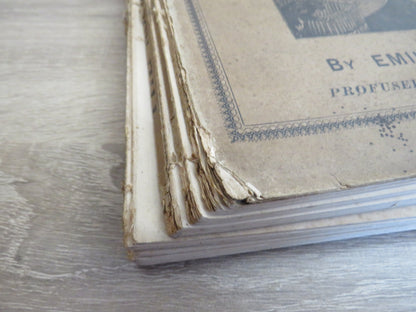 The Assommoir A Realistic Novel By Emile Zola 1885 book image 5