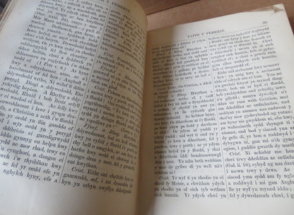Taith Y Perrerin; Y Rhyfel Ysprydol; Bywyd A Marwolaeth Mr Drygddyn Gan John Bunyan book image 7