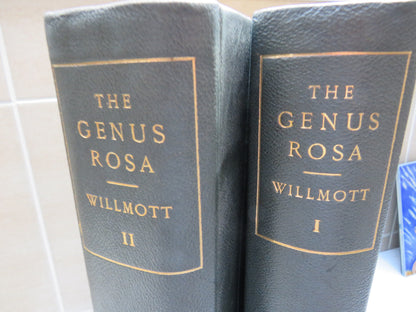 The Genus Rosa by Ellen Willmott, Vol I-II, 1914, Rare Antique Books book image 2